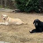 James Blomquist - @blomquist_james1 - Instagram