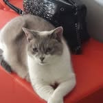 James Bobst - @james.bobst.5 - Instagram