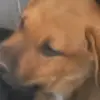 James Bocanegra - @james4631 - TikTok