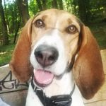 James boddie - @shiloh_bocephus - Instagram