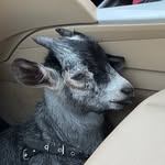 James Bode - @jamesbode__ - Instagram