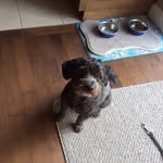 James Bolduc - @james_bolduc12 - Instagram