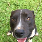 James Boldt - @james.boldt.545 - Instagram