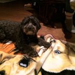 James Bolduc - @jbolduc12 - Instagram