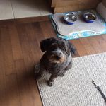 James Bolduc - @james_bolduc12 - Instagram
