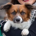 Ziggy Paul James-Bolduc - @ziggypauljames - Instagram