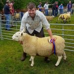 James Bone - @cheviots_from_cheviot - Instagram
