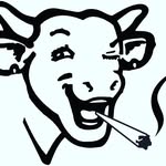 james bone - @flavours_birmingham - Instagram