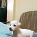 James &amp; Bonny - Facebook