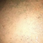 James BonsonBoy - @bonson_james - Instagram