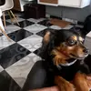 james boot - @jamesboot3472 - TikTok