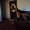 James Boothe - @james.boothe5 - TikTok