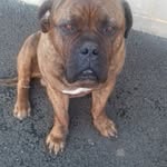 James Bootle - @bootlejames - Instagram