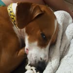 corey james borel II - @corey_borel_2nd - Instagram