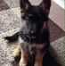 James Borg - Facebook