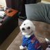 James Boris - Facebook