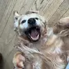 Jameson.Borkowski - @jameson.borkowski - TikTok