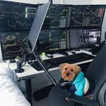 forex trade - @jamesborley3 - Instagram