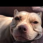 James Borowski - @james_k_borowski - Instagram