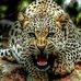 James Borst - Facebook