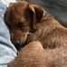 Jim Borst - Facebook