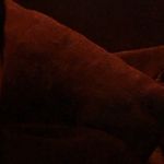 Jameson bortz - @jame.sonbortz - Instagram