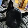 Jamie Bostelman Benson - @jamie.bostelman.b - TikTok