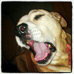 James Romeo Bostwick - @paper_planes_xp - Instagram