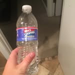 James Bottle Flip God - @james_dabottleflipgod - Instagram