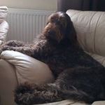 James Botts - @bottsjames - Instagram