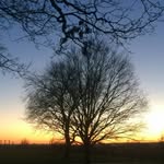 James bourbon - @traxxus2407 - Instagram