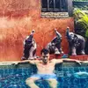 James Bourdon - @biffa148 - TikTok