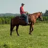 James - @james.bourget1 - TikTok