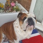 James Bourke - @j.bourke80 - Instagram