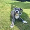 jamesbourn930 - @jamesbourn930 - TikTok