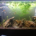 James Bourque - @fishfriends_notfood1 - Instagram