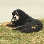 James Bove - @bove_james - Instagram