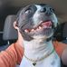 Michael James Bowditch - Facebook