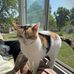James Bowell - Facebook