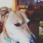 James Bowerman - @james.bowerman.733 - Instagram