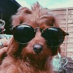 James bown - @jamesbown_ - Instagram