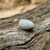James Boyd - @jamesboyd4478 - TikTok