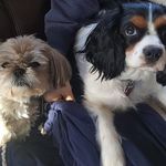 James M Bracewell - @jbracewell1 - Instagram