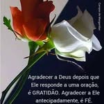 James Braga - @james.braga.39 - Instagram