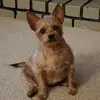 James Bragg - @james.bragg00 - TikTok
