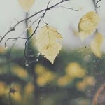 James Bramble - @james.bramble.585 - Instagram