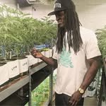 james brandy - @james_brandy38 - Instagram
