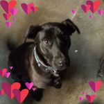 James Gary Brasher - @jamesgarybrasher - Instagram