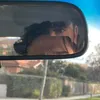 James Brasington - @j.brasington - TikTok