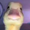 James Brayton - @james.brayton8 - TikTok